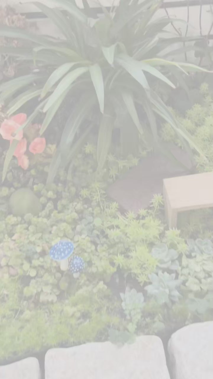 Solar Squirrel Garden Light