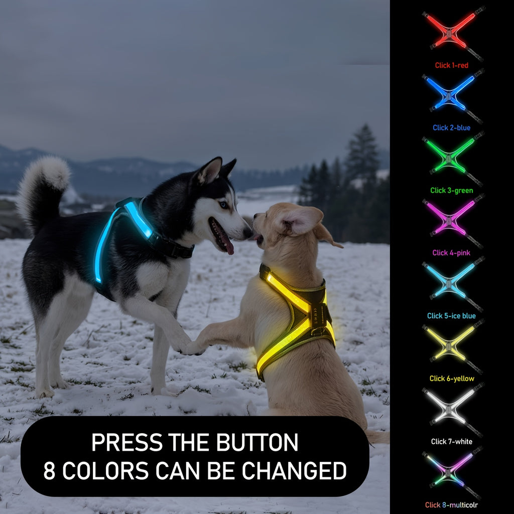 LED Dog Harness