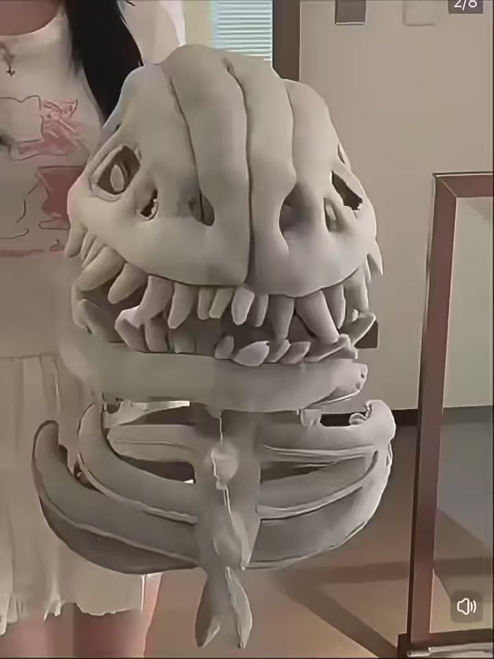 Dinosaur Skeleton Halloween Costume