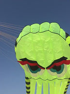 Giant 3D Octopus Kite
