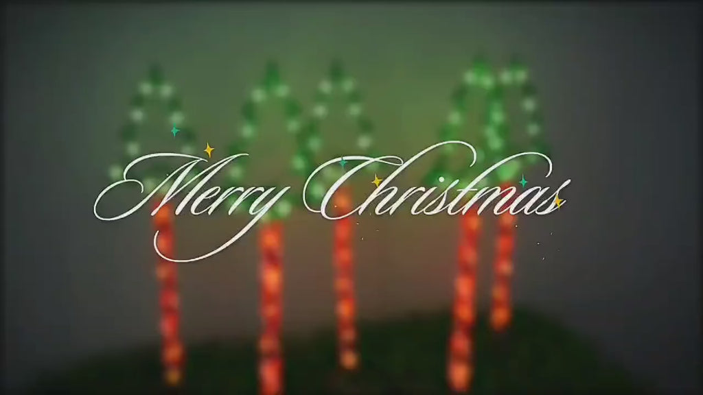 Solar Christmas Tree Lights