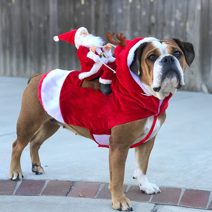 Santa Carrying Dog Costume