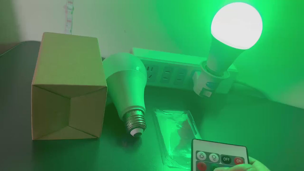 LED Light Bulb