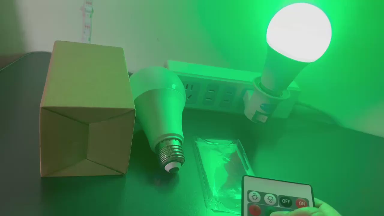 LED Light Bulb