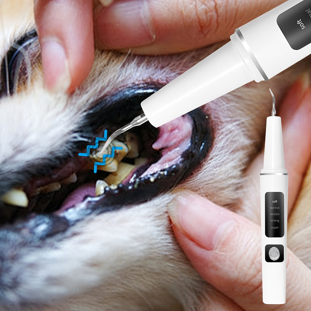 Pet Teeth Cleaner