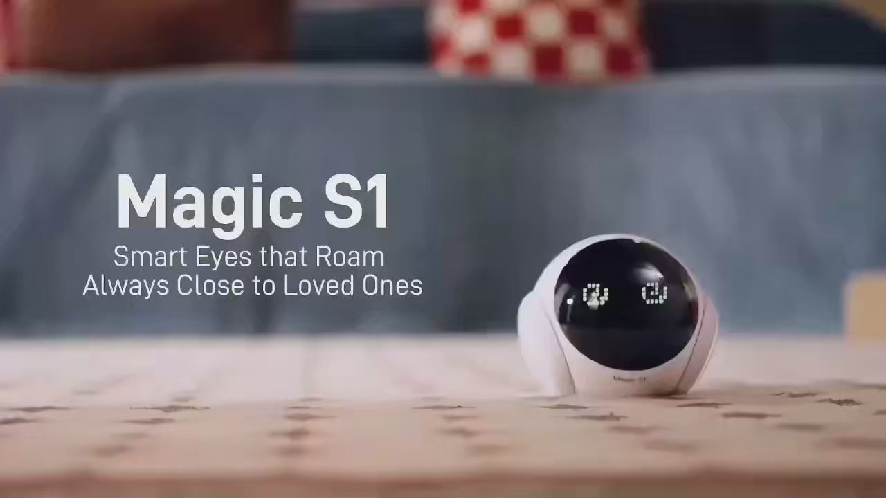 AI Home Patrol Robot