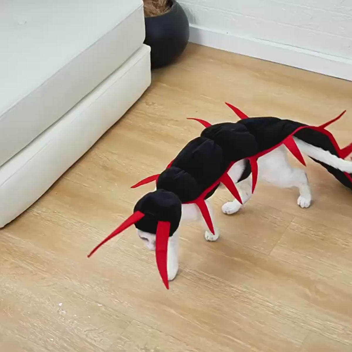Centipede Pet Costume