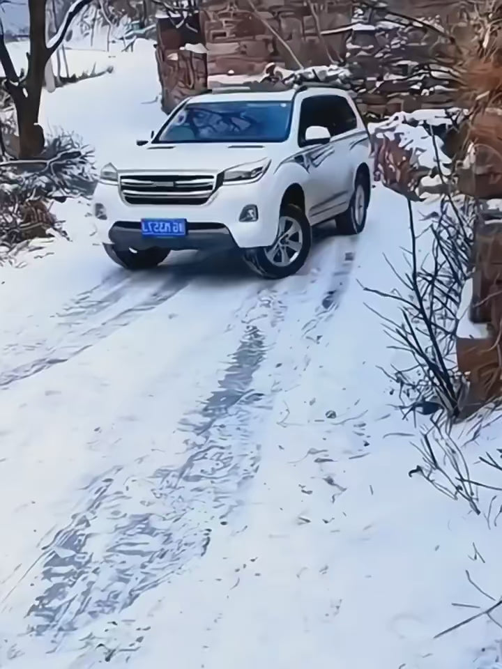 Snow Tire Grip Straps