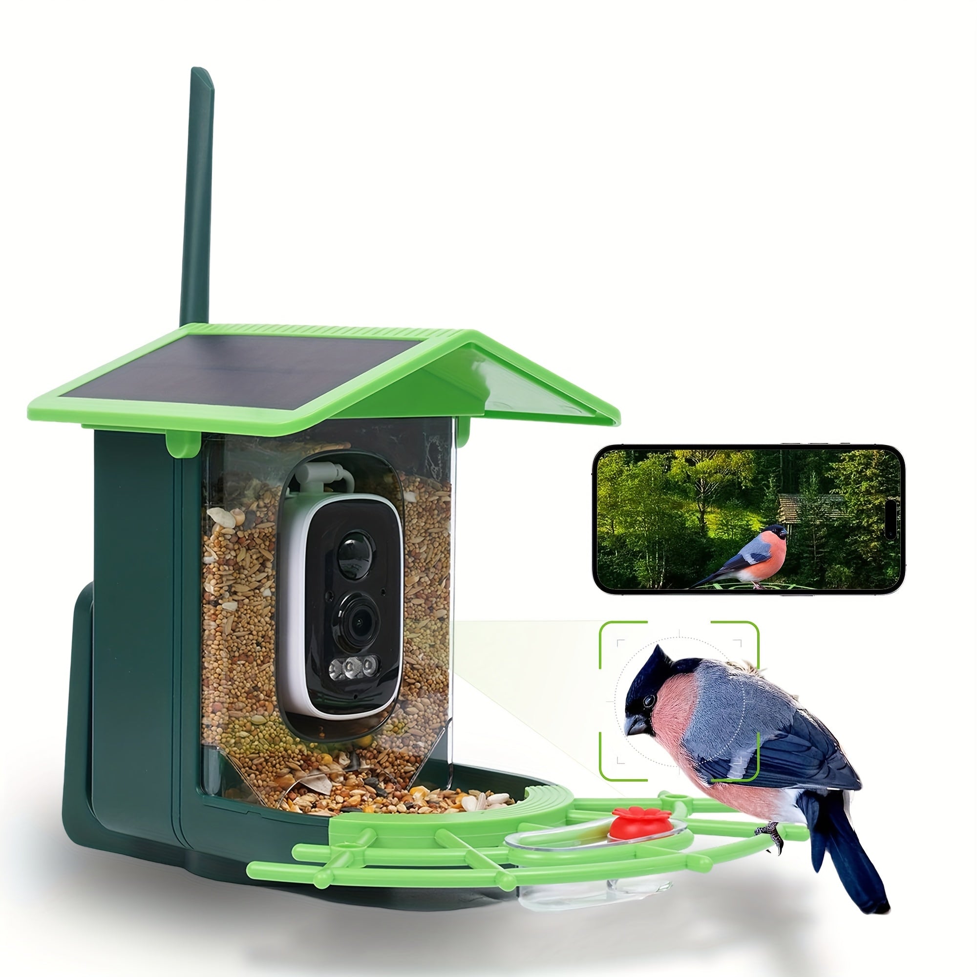 Smart Bird Feeder with Camera