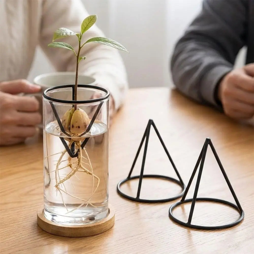 Seed Germination Racks with one sprouted seed in water and two black supports beside it