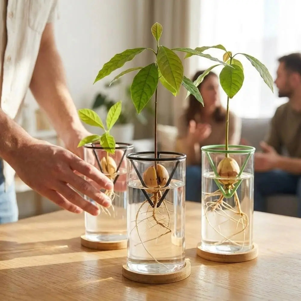 Seed Germination Racks in black and green displaying three growing seeds above water