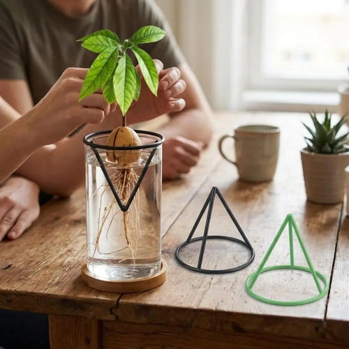 Seed Germination Racks with a black support holding a rooted seed over a clear water glass