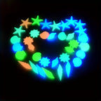 description_selected14