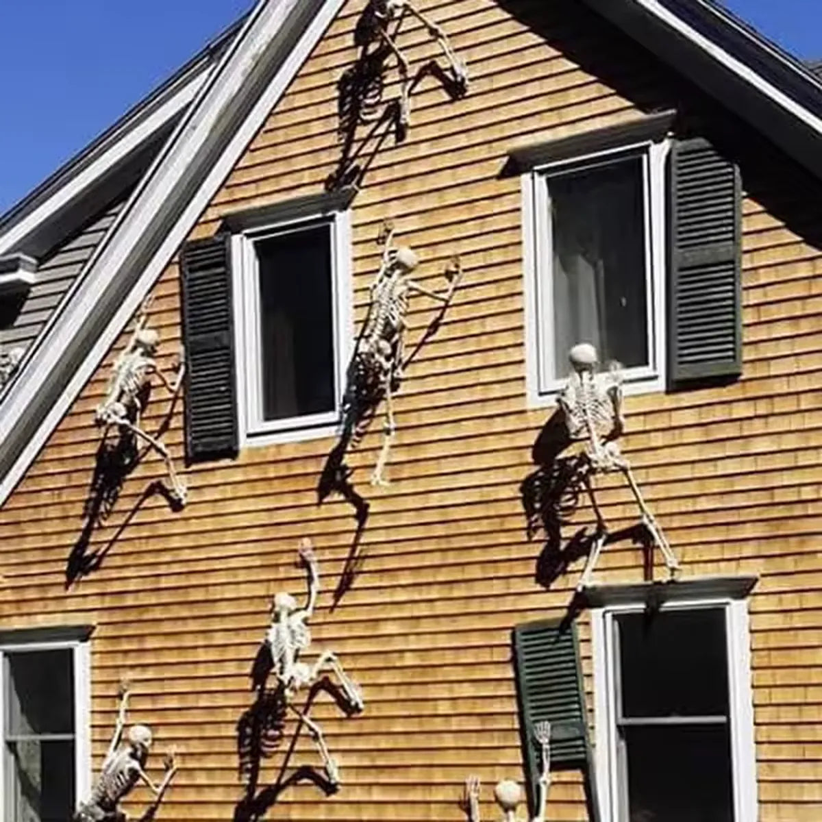 Climbing Skeleton Halloween Decor