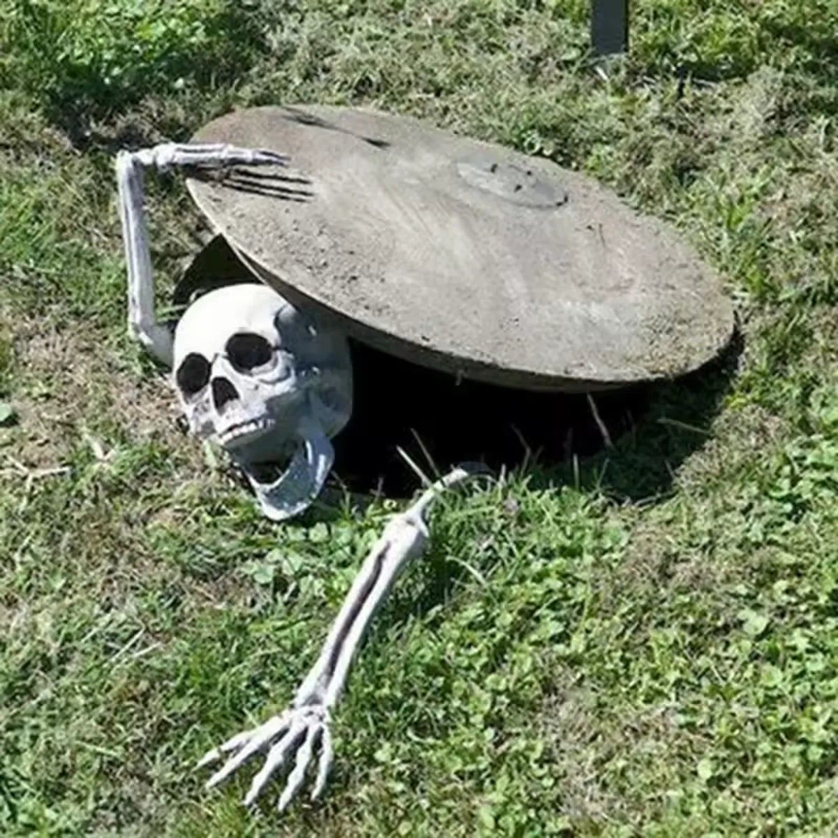 Skeleton Lawn Decoration