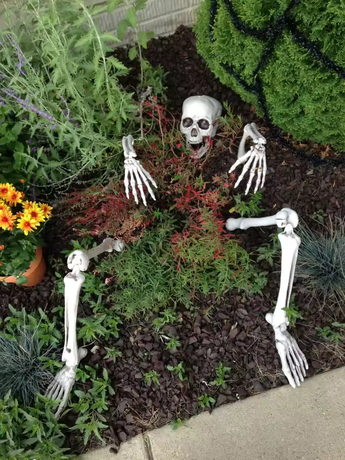 Skeleton Lawn Decoration