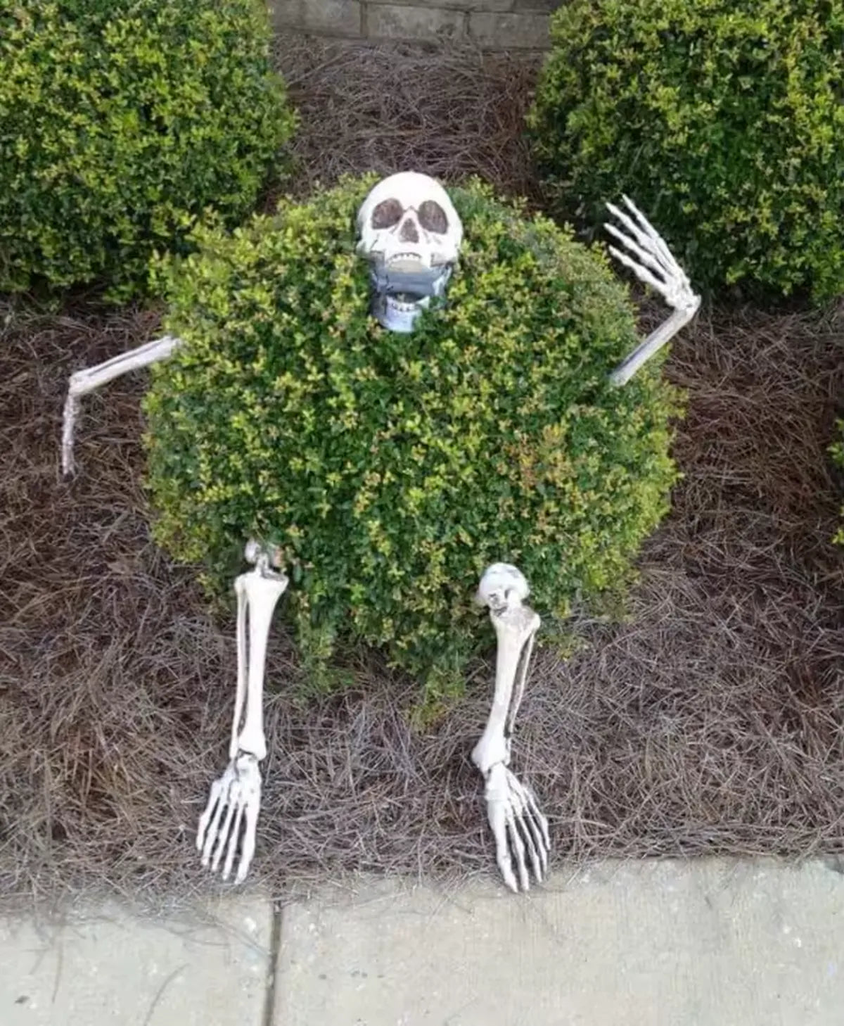 Skeleton Lawn Decoration