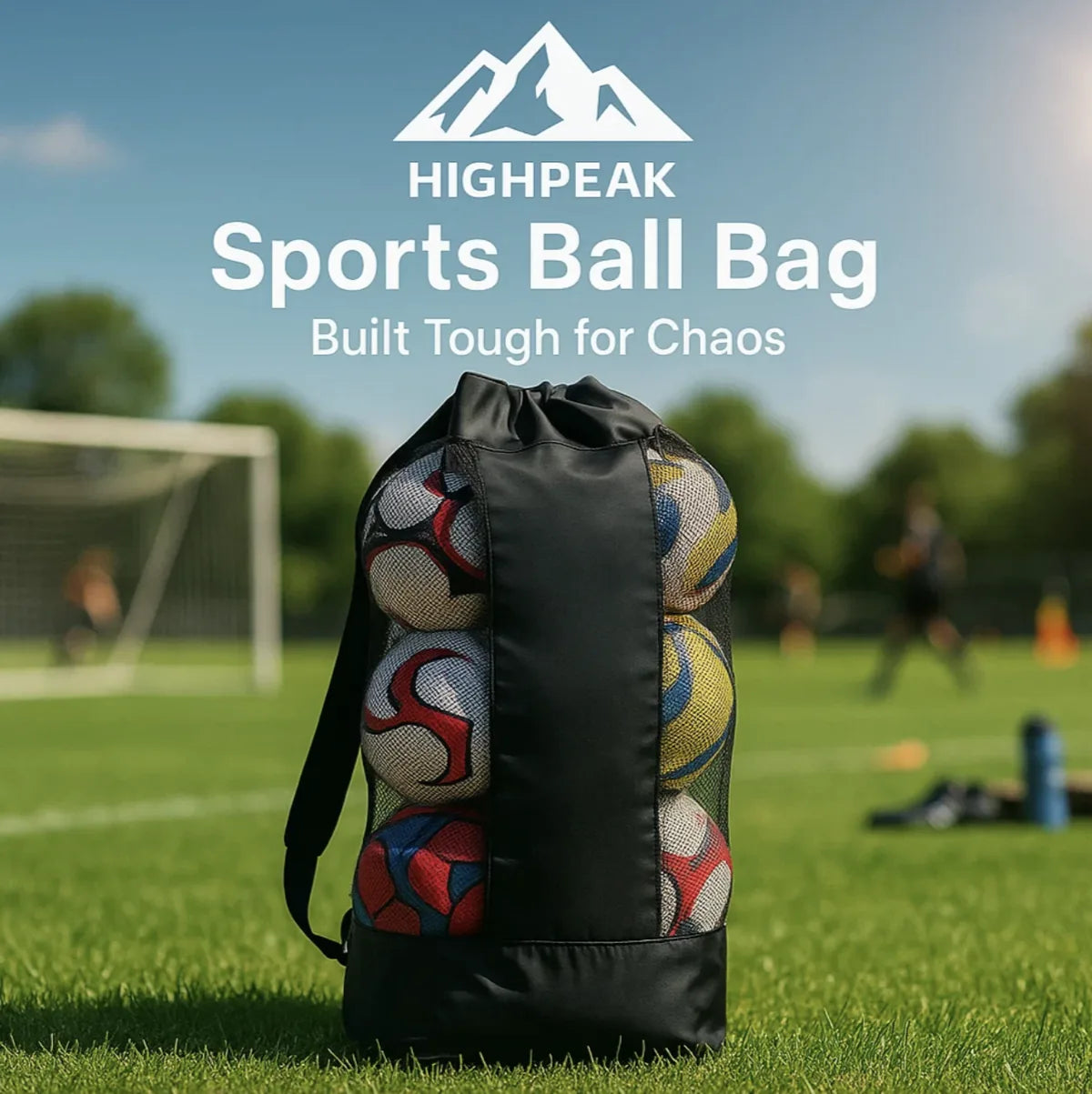 Sports Ball Bag