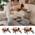 Squatting Dog Plush Toy collage of a woman cuddling the plush and three dog size views.