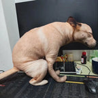Squatting Dog Plush Toy tan dog posed beside a keyboard and monitor on an office desk.