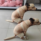 Squatting Dog Plush Toy two tan dog plushes shown side by side on a tiled floor.
