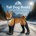 Tall Dog Boots