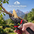 Tree Pruning Shears