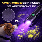 UV Inspection Flashlight – carpet fluorescence comparison graphic beside a brown and white dog.