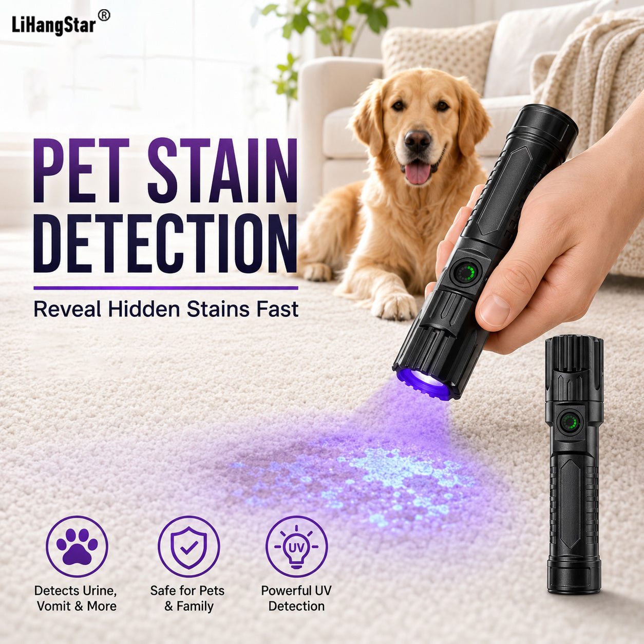 UV Inspection Flashlight – LiHangStar pet-stain inspection graphic with a dog and handheld light.
