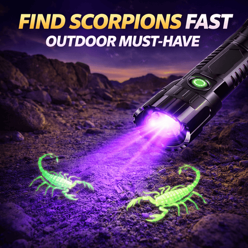 UV Inspection Flashlight – illustrated purple beam highlighting two scorpions on rocky ground.