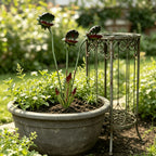 Venus Flytrap Garden Stake placed in a large outdoor planter beside a metal plant stand