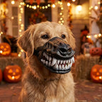Golden Retriever wearing Werewolf Fangs Dog Mask without blood beside Halloween pumpkins